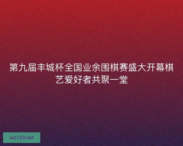 第九届丰城杯全国业余围棋赛盛大开幕棋艺爱好者共聚一堂