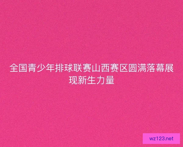 全国青少年排球联赛山西赛区圆满落幕展现新生力量